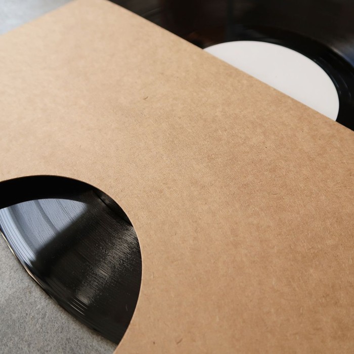 Rangement vinyle en carton
