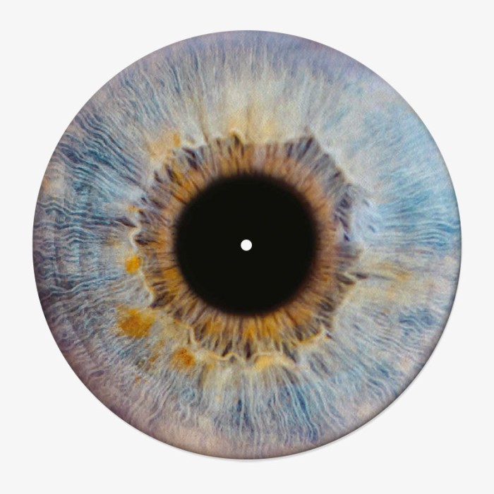 Retina Vinyl Slipmat | 12" Slipmat for Vinyl Turntable | Feylt