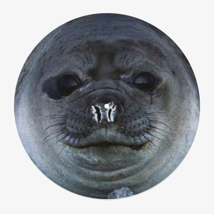 Seal Vinyl Slipmat | Original 12" Vinyl Slipmat | Feylt