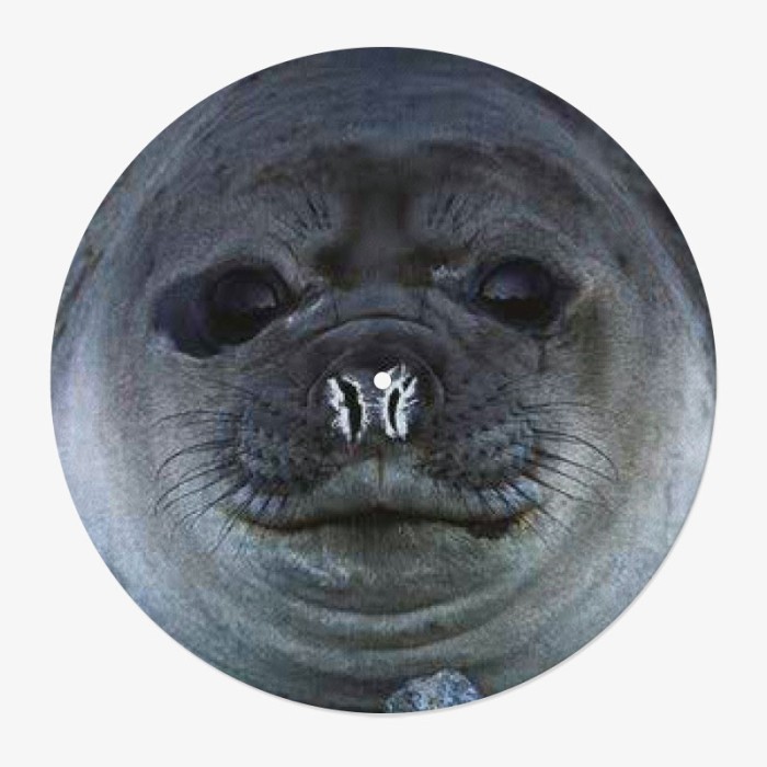 Seal Vinyl Slipmat | Original 12" Vinyl Slipmat | Feylt