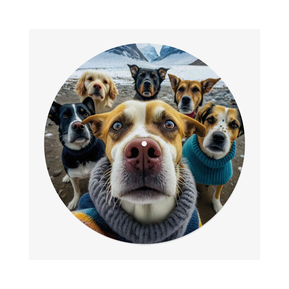 feutrine vinyle chien