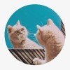 Cat Vinyl Slipmat | Original Slipmat Printed in France| Feylt