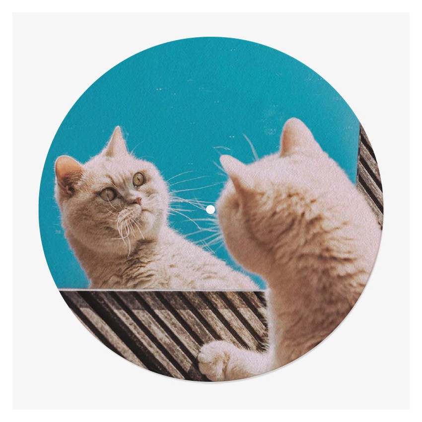 feutrine vinyle chats