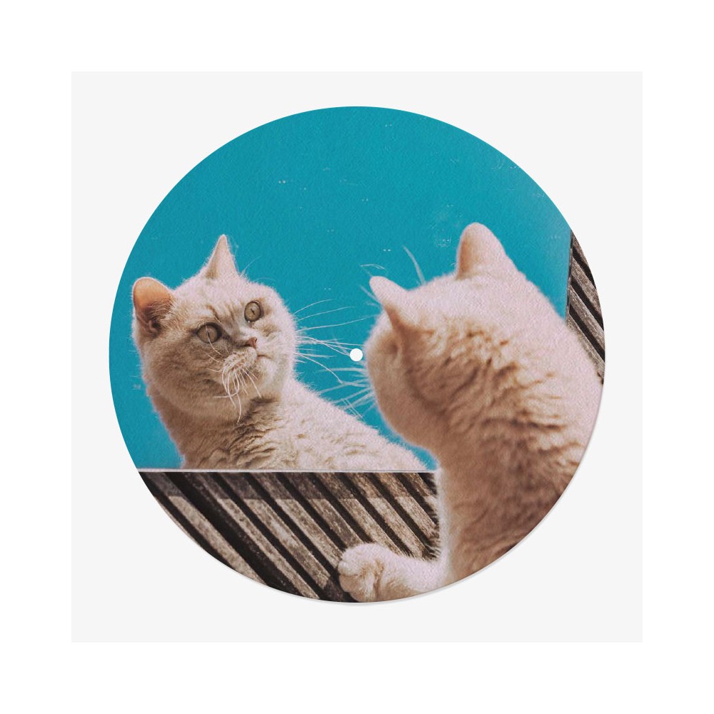 Cat Vinyl Slipmat | Original Slipmat Printed in France| Feylt