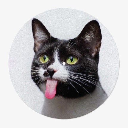 Cat Vinyl Slipmat | 12" Slipmat for Vinyl Turntable | Feylt