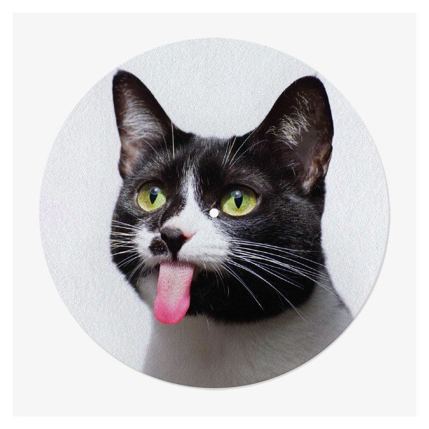feutrine vinyle chat