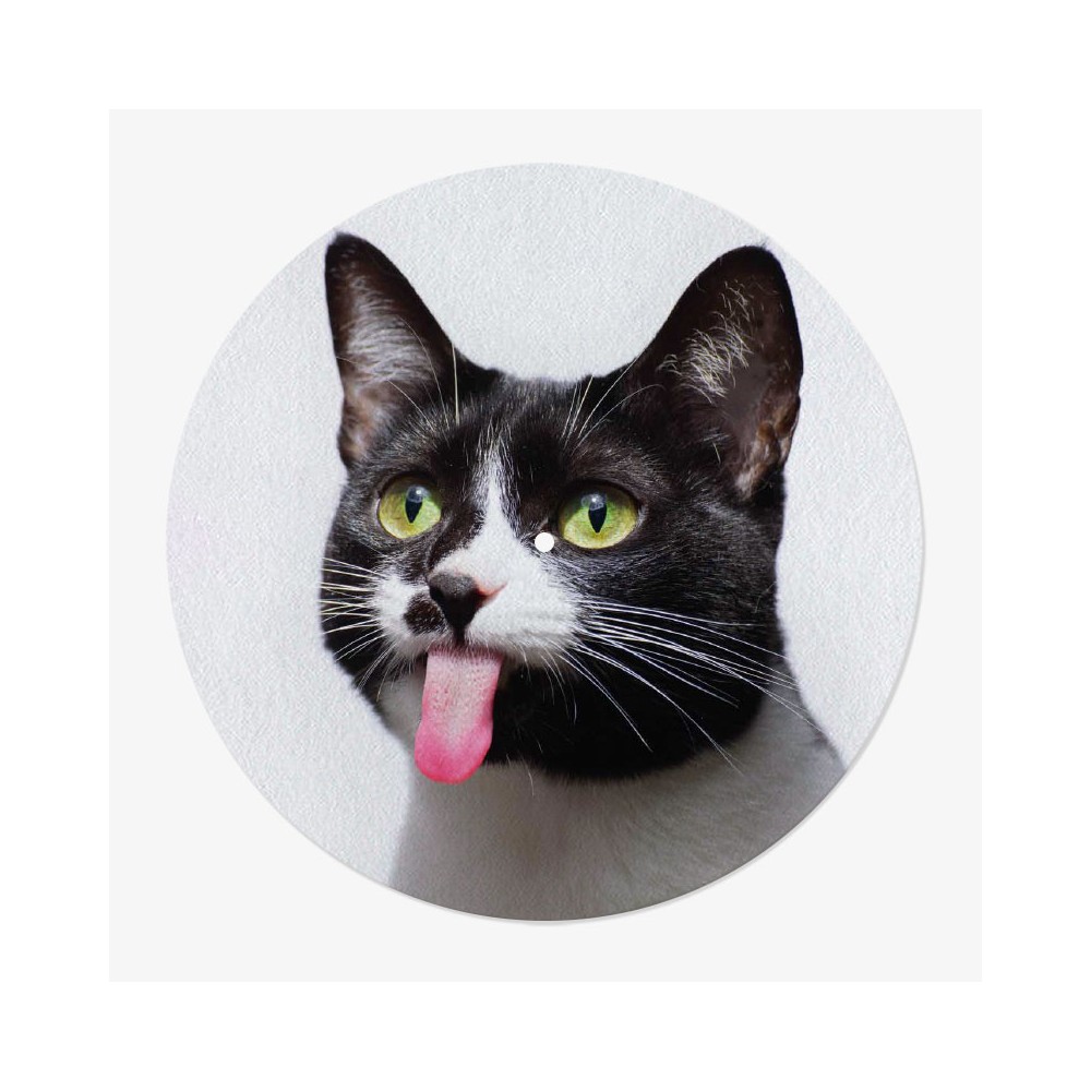 feutrine vinyle chat
