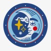 Moon Tarot Vinyl Slipmat | Fun Slipmat for Vinyl Turntable | Feylt