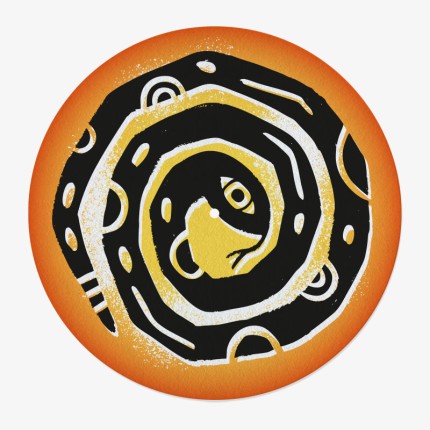 Snake Vinyl Slipmat | Design Turntable Slipmat | Feylt