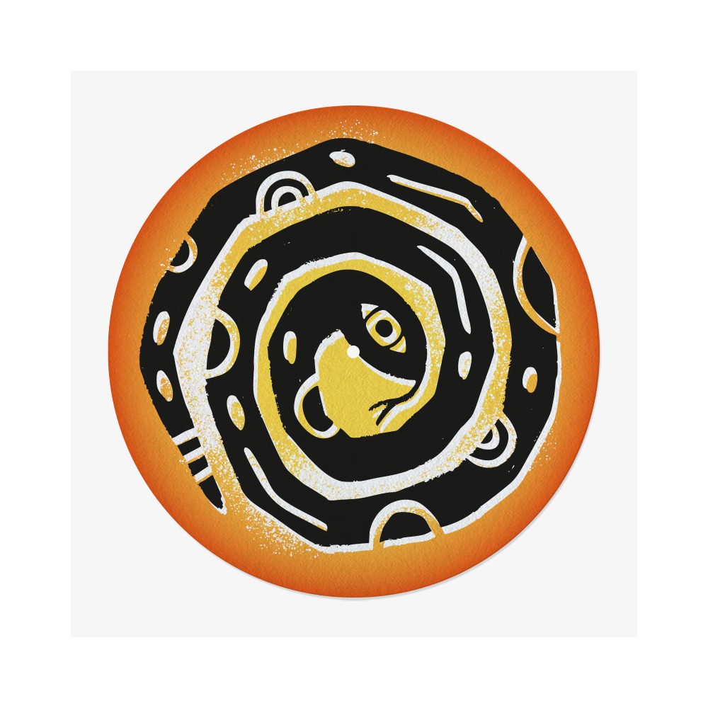 Snake Vinyl Slipmat | Design Turntable Slipmat | Feylt
